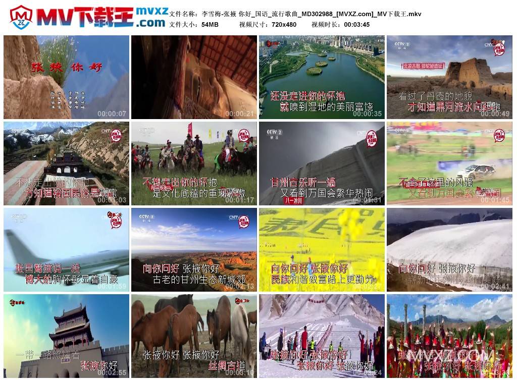 李雪梅-张掖 你好_国语_流行歌曲_MD302988